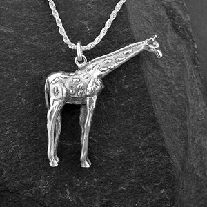 May include: A silver giraffe pendant necklace with a rope chain. The giraffe is detailed with spots and has a long neck.