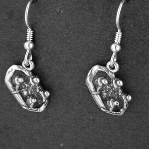 Sterling Silver River Raft Earrings on Heavy Sterling Silver French Wires