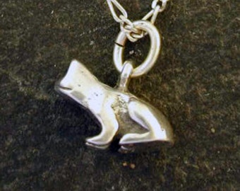 Sterling Silver Frog Pendant on a Sterling Silver Chain.