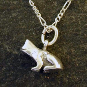 Sterling Silver Frog Pendant on a Sterling Silver Chain.