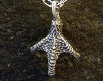 Pendentif en argent sterling griffe Talon sur chaîne en argent Sterling.