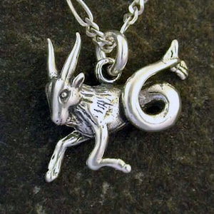 Sterling Silver Capricorn Pendant on a Sterling Silver Chain