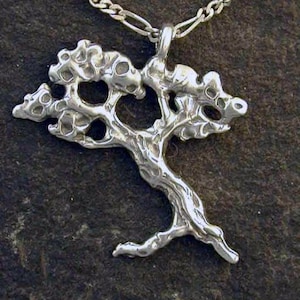 Sterling Zilveren Monterey Cipress Tree Hanger op een Sterling Zilveren Ketting