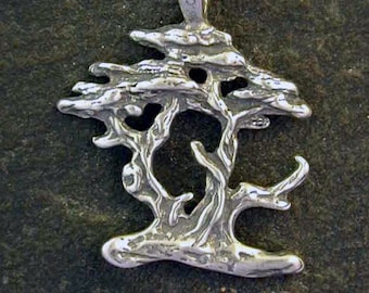 Sterling Silver Monterey Cypress Pendant on a Sterling Silver Chain