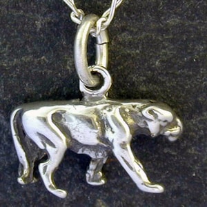 Sterling Silver Cougar, Catamount, Puma, Panther, Mountain Lion Pendant on Sterling Silver Chain.
