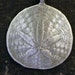 see more listings in the Ocean Designs section