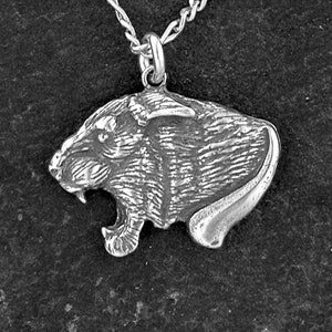 Sterling Silver Cougar, Catamount, Puma, Panther, Mountain Lion Head Pendant on Sterling Silver Chain.