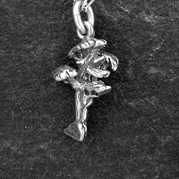 Sterling Silver Monterey Cypress Tree Pendant on a Sterling Silver Chain.