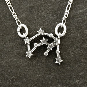 Sterling Silver Aquarius Star Field Astrology Pendant on a Sterling Silver Chain