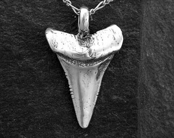 May include: A silver shark tooth pendant necklace on a silver chain. The pendant is a detailed replica of a shark tooth.