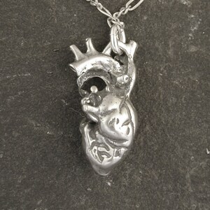 Sterling Silver Human Heart Pendant on a Sterling Silver Chain.