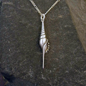Sterling Silver Tibia Martinis Sea Shell Pendant on a Sterling Silver Chain
