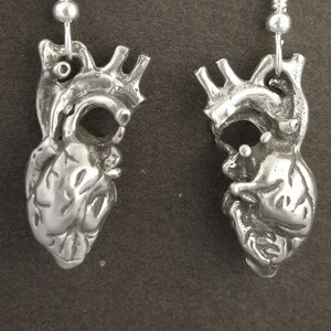 Sterling Silver Human Heart Earrings on Heavy Sterling Silver French Wires