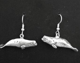 Sterling Silver Beluga Whale Earrings on Sterling Silver French Wires.
