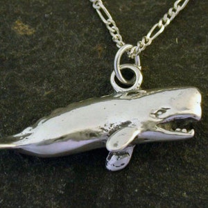 Sterling Silver Sperm Whale Pendant on Sterling Silver Chain.