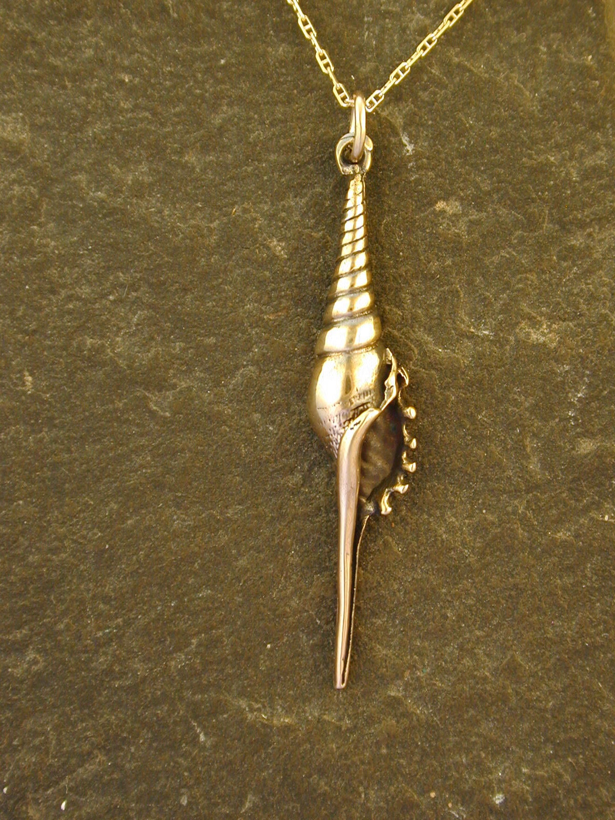 14K Gold Tibia Martinis Sea Shell Pendant on a 14K Gold Chain Etsy