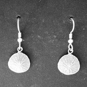 Sterling Silver Tiny Sand Dollar Earrings on Sterling Silver French Wires