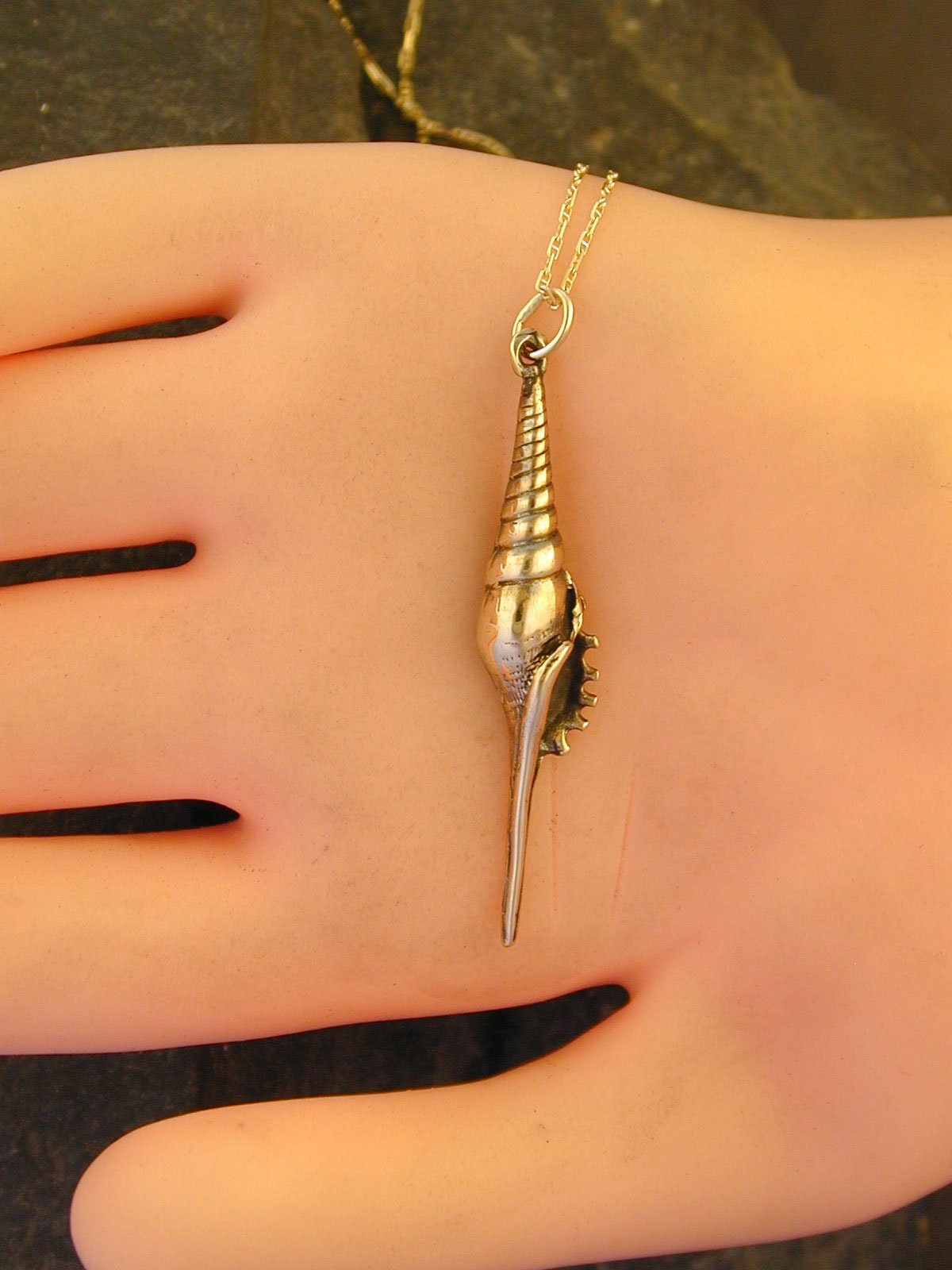 14K Gold Tibia Martinis Sea Shell Pendant on a 14K Gold Chain Etsy