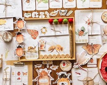 Könnte beinhalten: Eine Sammlung von Lernmaterialien zum Thema Insekten. Enthält illustrierte Karten von Insekten wie Schmetterlingen, Bienen und Käfern, sowie Holzzuschnitte und Arbeitsblätter. Die Farbpalette ist natürlich mit Illustrationen im Aquarellstil.
