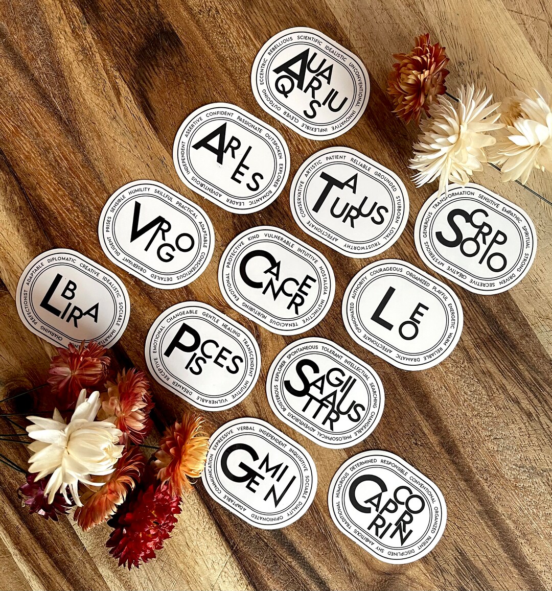 Modern & Chic Zodiac Stickers, Astrology Signs Clear Sticker Modern ...
