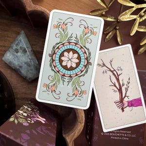 May include: Two rectangular tarot cards with rounded corners. One card features a light green background with a central circular mandala design in pink, blue, and brown, surrounded by floral vines. The other card shows a hand holding a brown branch.