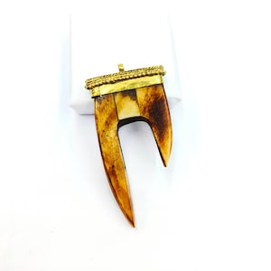 May include: A pendant with a large, curved tooth shape, topped with a gold-coloured metal cap. The tooth has a natural, light brown and cream colour with darker brown accents. The metal cap has a textured design and a small loop for a chain.