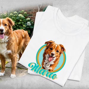 Może przedstawiać: Biała koszulka z kreskówkową ilustracją brązowo-białego psa z wystawionym językiem, umieszczona w turkusowo-pomarańczowym okręgu. Imię "Marco" jest napisane turkusowym skryptem. Widoczny jest również prawdziwy pies tej samej rasy.