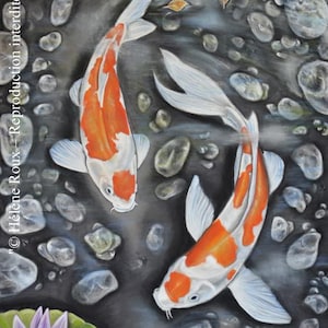 Fine art print - Signed and in limited edition for design wall decor - Wildlife art Zen koi carp - Hélène Roux