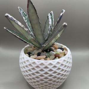 Puede incluir: Una planta suculenta de vidrio hecha a mano con bordes plateados y hojas teñidas de verde. La planta está en una maceta de cerámica blanca con diseño de diamantes, llena de pequeños guijarros de colores. Un objeto decorativo.