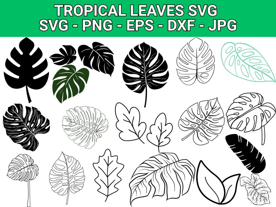 TROPICAL SVG Bundle Jungle Floral SVG Monstera Banana Leaf Palm Leaf ...