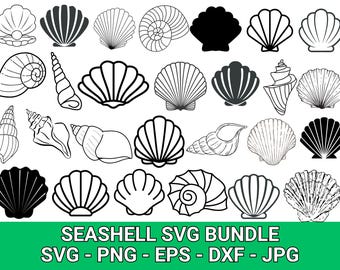 Seashell SVG Bundle: Clipart, Cut Files for Cricut (Digital Download