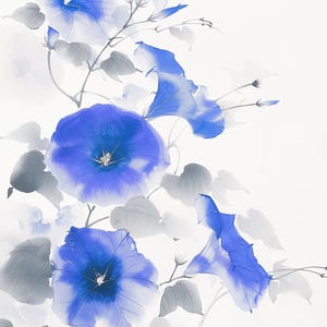 朝顔 -Morning Glory in Blue-