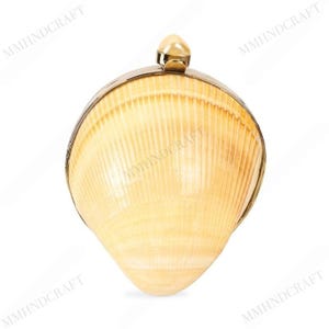 Elegant Natural Shell Clutch – Handcrafted Beach-Inspired Mini Bag with Gold Accents