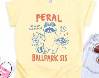 Baseball Bro Sis Shirt, Feral Raccoon Tee, Toddler Baseball Gift, Brother Sister Matching T-Shirt, Funny Baseball Gameday Tee, Snacks Lover