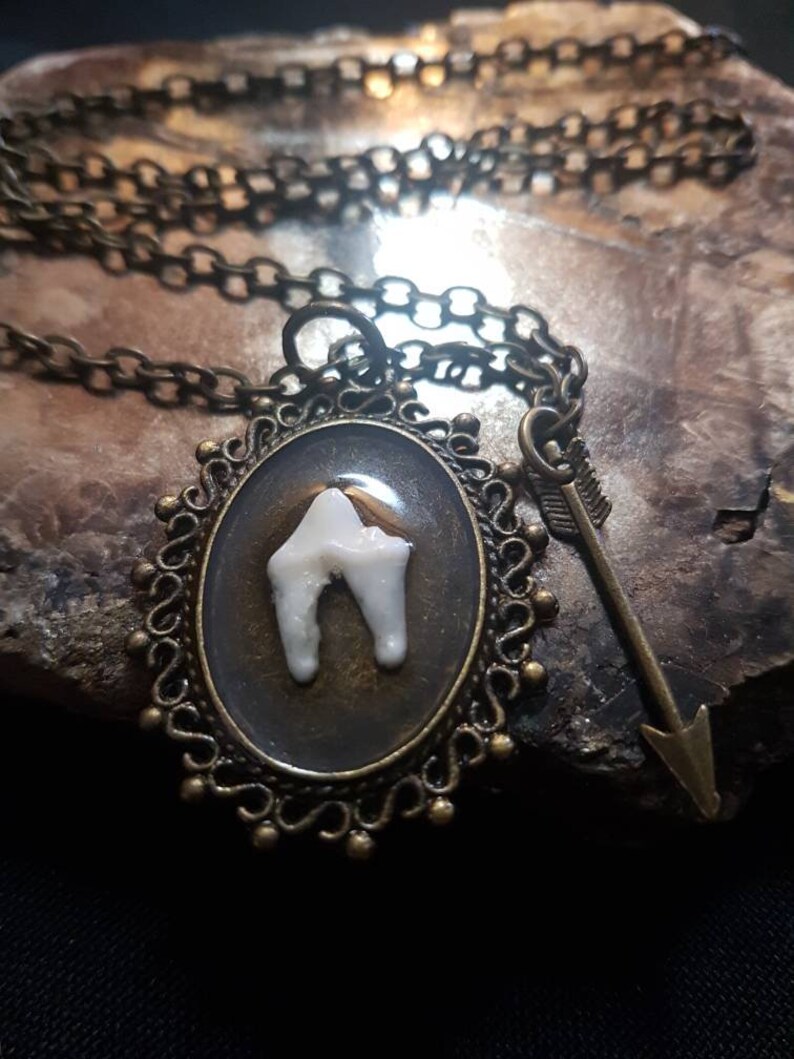 Canine Tooth Necklace Etsy