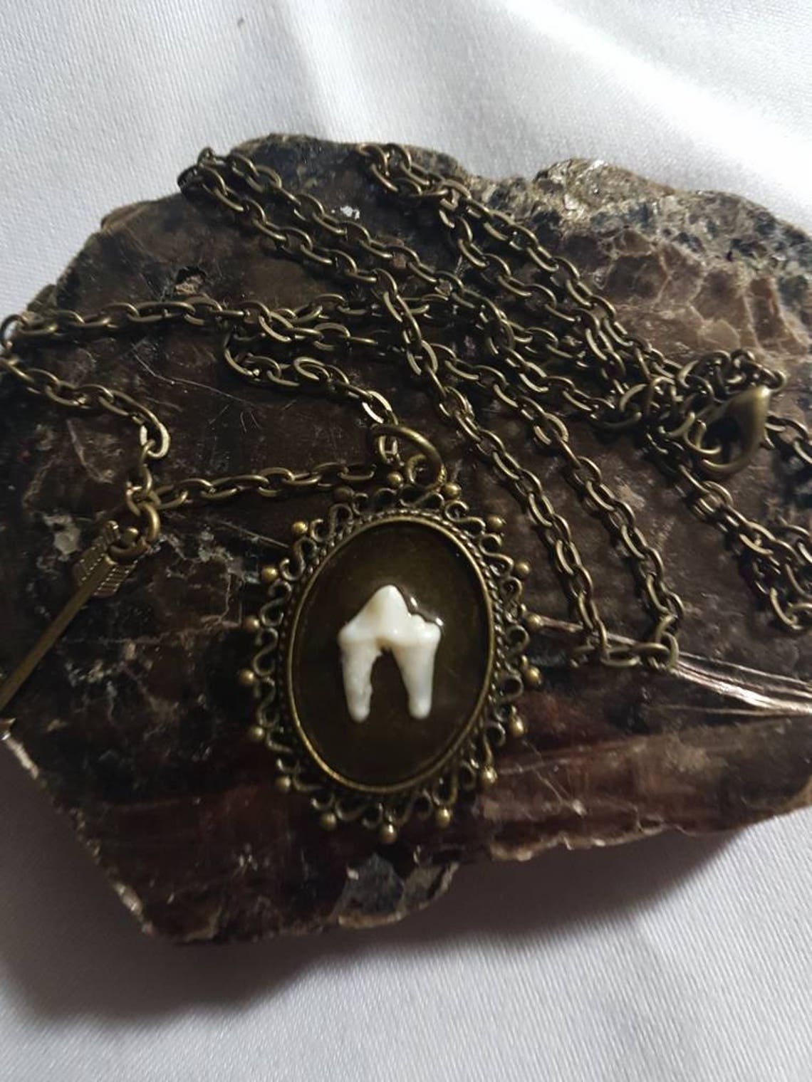 Canine Tooth Necklace Etsy