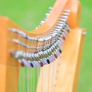 May include: Close-up of a wooden harp with strings. The harp has a light brown finish and silver tuning pegs. The strings are various colors, including red, blue, and green. The background is a blurred green.