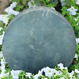 May include: A large, circular, teal-coloured stone, possibly a garden ornament, is surrounded by lush greenery and white petunia flowers. The stone's surface has a mottled appearance, suggesting a natural texture. The scene evokes a sense of tranquility and natural beauty.