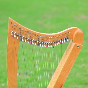 May include: A wooden harp with a light brown finish. The strings are visible, and the tuning pegs have red, white, and blue accents. The harp is set against a blurred green background, suggesting an outdoor setting.