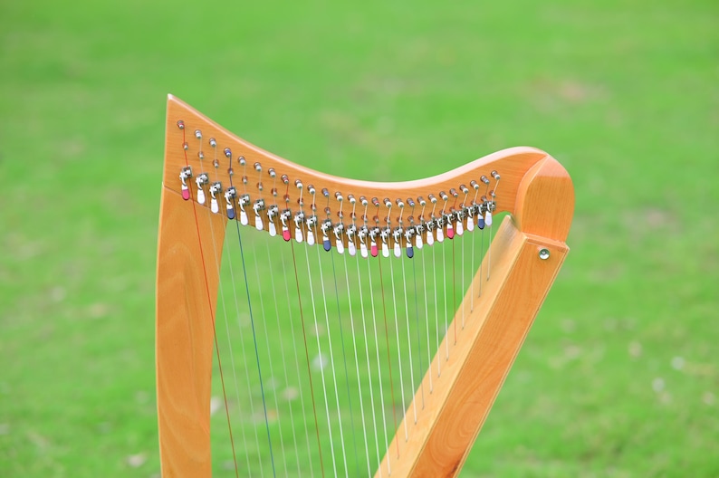 May include: A wooden harp with a light brown finish. The strings are visible, and the tuning pegs have red, white, and blue accents. The harp is set against a blurred green background, suggesting an outdoor setting.