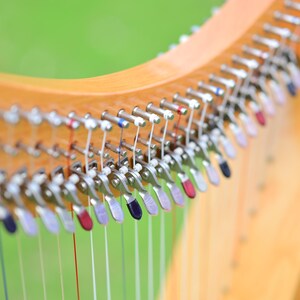 May include: Close-up of a wooden harp with strings and tuning pegs. The harp has a light brown finish with silver hardware. The strings are visible, and the tuning pegs have colored accents. The background is a blurred green.
