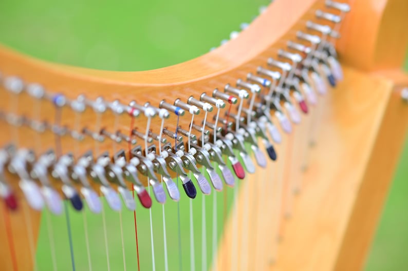 May include: Close-up of a wooden harp with strings and tuning pegs. The harp has a light brown finish with silver hardware. The strings are visible, and the tuning pegs have colored accents. The background is a blurred green.