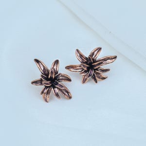May include: A pair of stud earrings crafted from a dark, antiqued copper-toned metal. Each earring features a multi-layered, dimensional flower design with pointed, overlapping petals that radiate outward from a central point.
