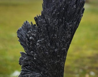 Zwarte kyaniet waaierkristallen cluster op metalen standaard – specimen met natuurlijke bladen voor bescherming, reiniging en huisdecoratie