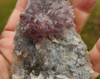 Brazilian Zeolite with Purple Quartz Flower • Rare Amethyst Rosette on Matrix •