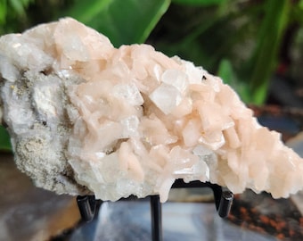 Magnífica estilbita color melocotón con apofilita en matriz / Cúmulo de cristales de zeolita natural / India