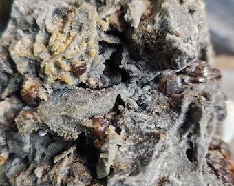 Esfalerita con cristales de granate en matriz: mineral de sulfuro de zinc para la conexión a tierra con