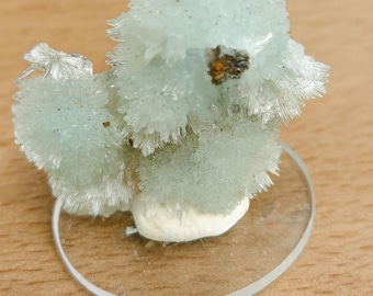 Blauwe aragonietkristallencluster – premium verzamelkwaliteit | Kalmerende helende steen