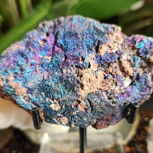 May include: A close-up of a colourful mineral specimen. The rock displays a vibrant array of colours, including blues, purples, and hints of gold. The mineral is mounted on a black stand, showcasing its natural beauty.