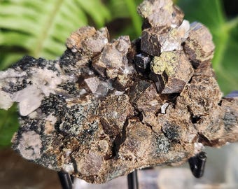 Natural Garnet on Matrix with Green Epidote • Raw Almandine Garnet Cluster •